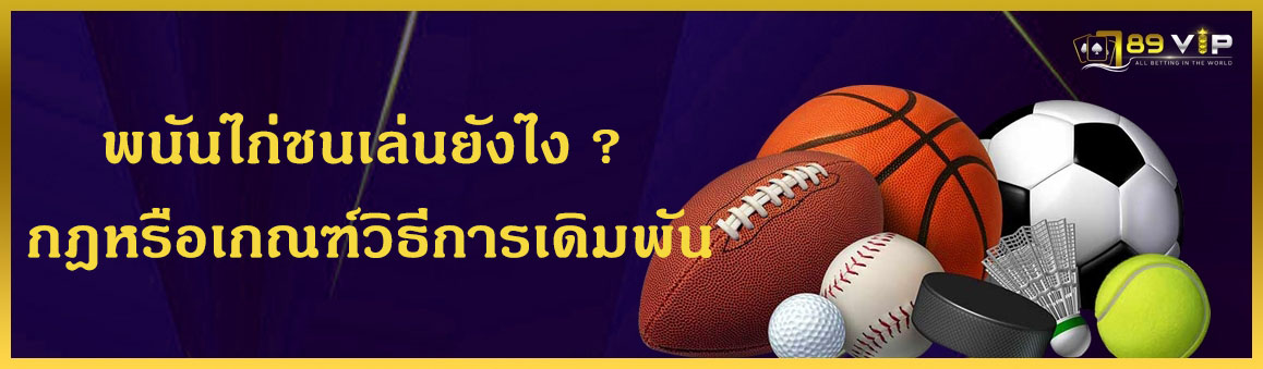 พนันไก่ชนเล่นยังไง ? กฎหรือเกณฑ์วิธีการเดิมพัน